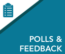 Polls and Feedback-2