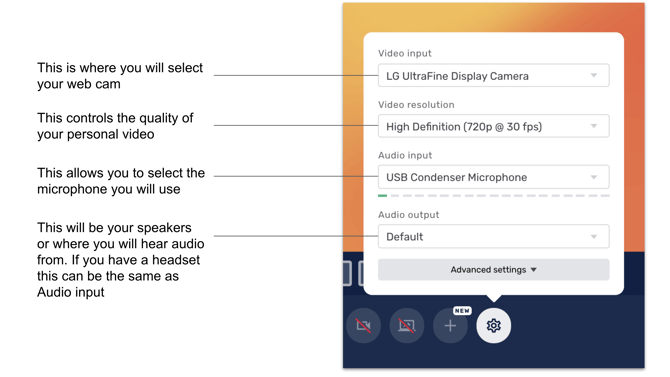 Screen Shot 2021-08-04 at 3.52.58 PM
