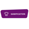 Widget 3_PurpleGamification