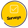 Widget 4_Surveys
